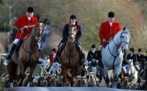 The lack of progress on the hunting issue is likely to dismay pro ...