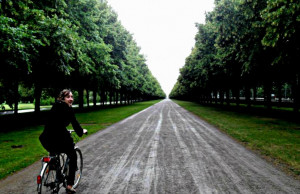 ... • May 7, 2015 • Quotes and Sayings • Comments (0) • 241