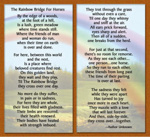 horse poem. The Rainbow Bridge for Horses