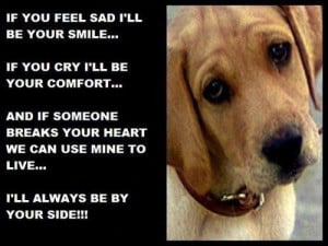 Loyalty quotes and sayings loyal dog face meaningful