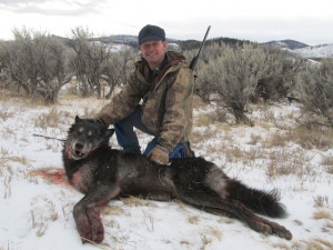 idaho wolf hunting montana wolf hunting rifle hunting wolf hunting ...