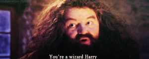 Hagrid: You’re a wizard, Harry.