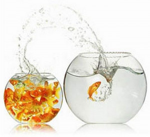 valor-do-risco-no-processo-de-mudança