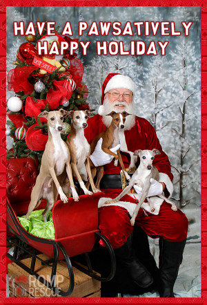 Doggy christmas card - dog holiday card - pet holiday card sayings