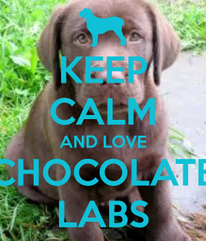 KEEP CALM AND LOVE CHOCOLATE LABS