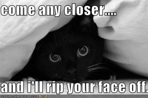 come any closer & ill rip your face off