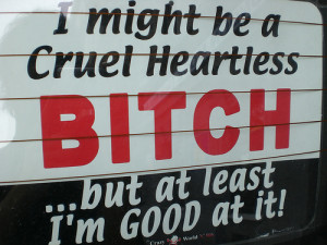 Confusing Puerto Rican Spanish Slang Words: BICHO, BICHA, BICHERÍA ...