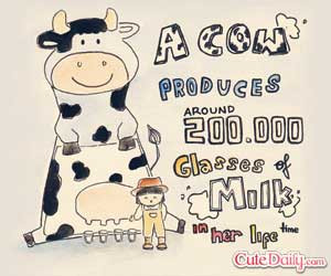 Funny Cow Jokes Stuff The News Friend Quotes Sayings