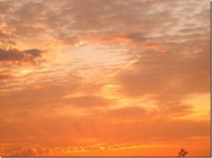 Toxic Mother Daughter Relationships http://emergingfrombroken.com/my ...