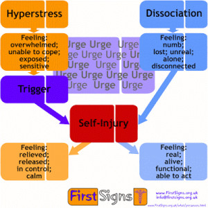 Self-Injury Awareness Day (3.01.09) !!