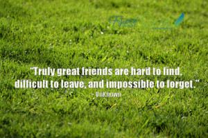 Friendship Quotes