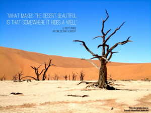 Desert quote from Le Petit Prince