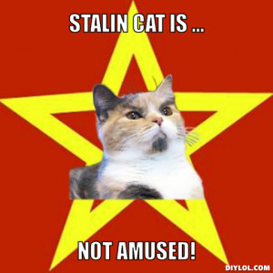 Stalin cat is ..., not amused!