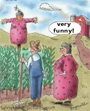 Very Funny Wife Farm Scarecrow Cartoon Joke Image
