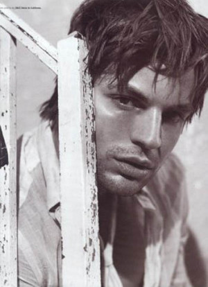 Gale Harold