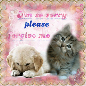so sorry i hope you can forgive me tags apology sorry forgive ...
