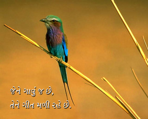 You Can Read Gujarati Thoughts