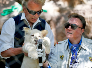 Siegfried and Roy Just Welcomed 3 New Adorable White Lion Cubs Into ...