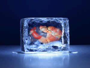 Ice block with human heart inside