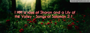 am a rose of sharon and a lily of the valley - songs of solomon 2:1 ...