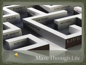 Maze through life