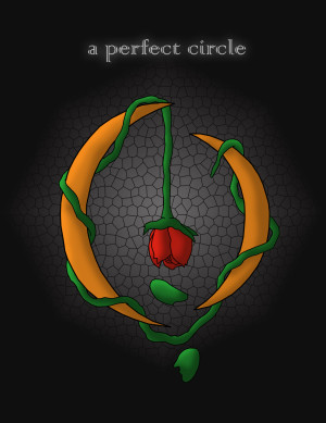 Perfect Circle-Rose by Shichimen