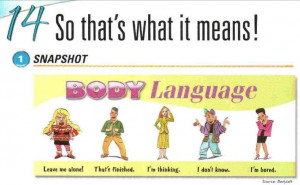 Verbal Communication