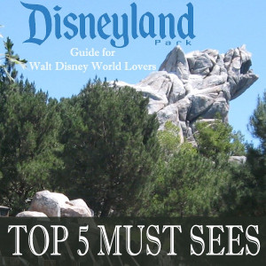 ... sharing my top 5 favorite things to see at the Disneyland Resort