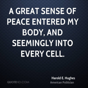 great sense of peace entered my body, and seemingly into every cell.