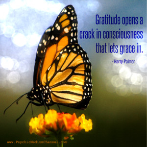 Gratitude opens a crack in consciousness that lets grace in. -Harry ...