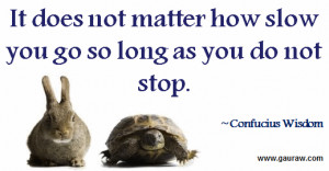 It does not matter how slow you go so long as you do not stop - Wisdom ...