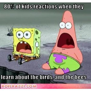 Related Pictures spongebob quotes cussing