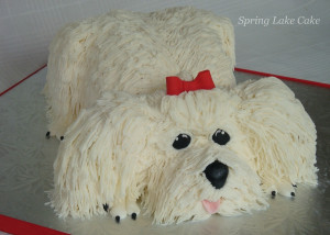 Maltese Dog Cake