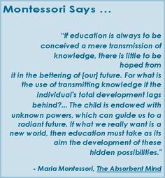 mind applies to education in general rather than montessori education ...