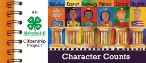 character counts fairness
