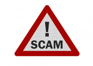 Avoid a Network Marketing Scam
