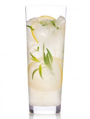 Sparkling tarragon gin lemonade: muddled lemons and tarragon with ...