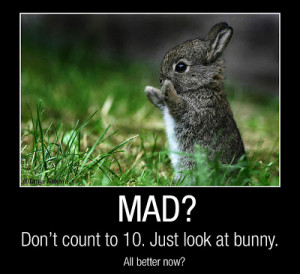 Bad day? Mad? Crazy People? Bunny can help.