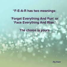 fear has two meanings - Google Search