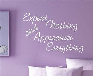 Details about Expect Nothing Appreciate Everything Quote sticker decal ...