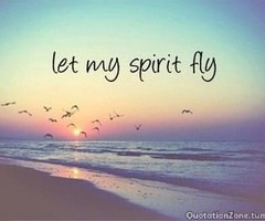 in collection: FREEDOM is HERE