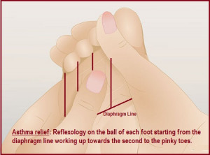 March 19th, 2014 | Posted by Velda in ACUPRES.,MERIDIANS, REFLEX ...