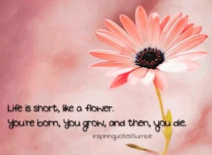 Flower quote via www.inspiringquotes.tumblr.com