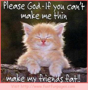 Little kitty pleading to God to not be the fattest lol