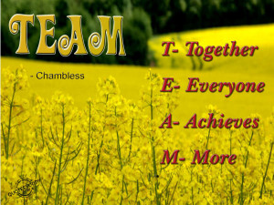 Muhammad Nouman Ali sheroz Awais iqbal Talha Mohsin Riaz