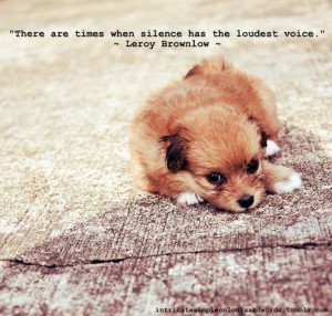 Quotes that make you think (87)