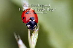 Can God Speak Through a Lady Bug? A Lesson on Striving
