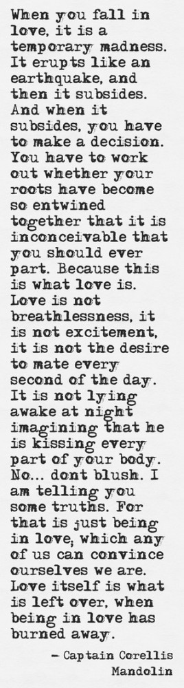 Captain Corellis Mandolin. I loved the way the cracks in his surface ...