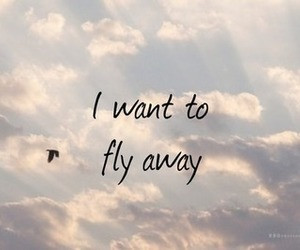 Tagged with i want to fly away