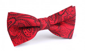 Home Bow Tie Paisley Maroon Bow Tie Men Ties and Accessories